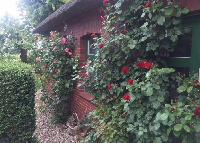 Kleine Einliegerwohnung Oder Zimmer Im Reetdachhaus