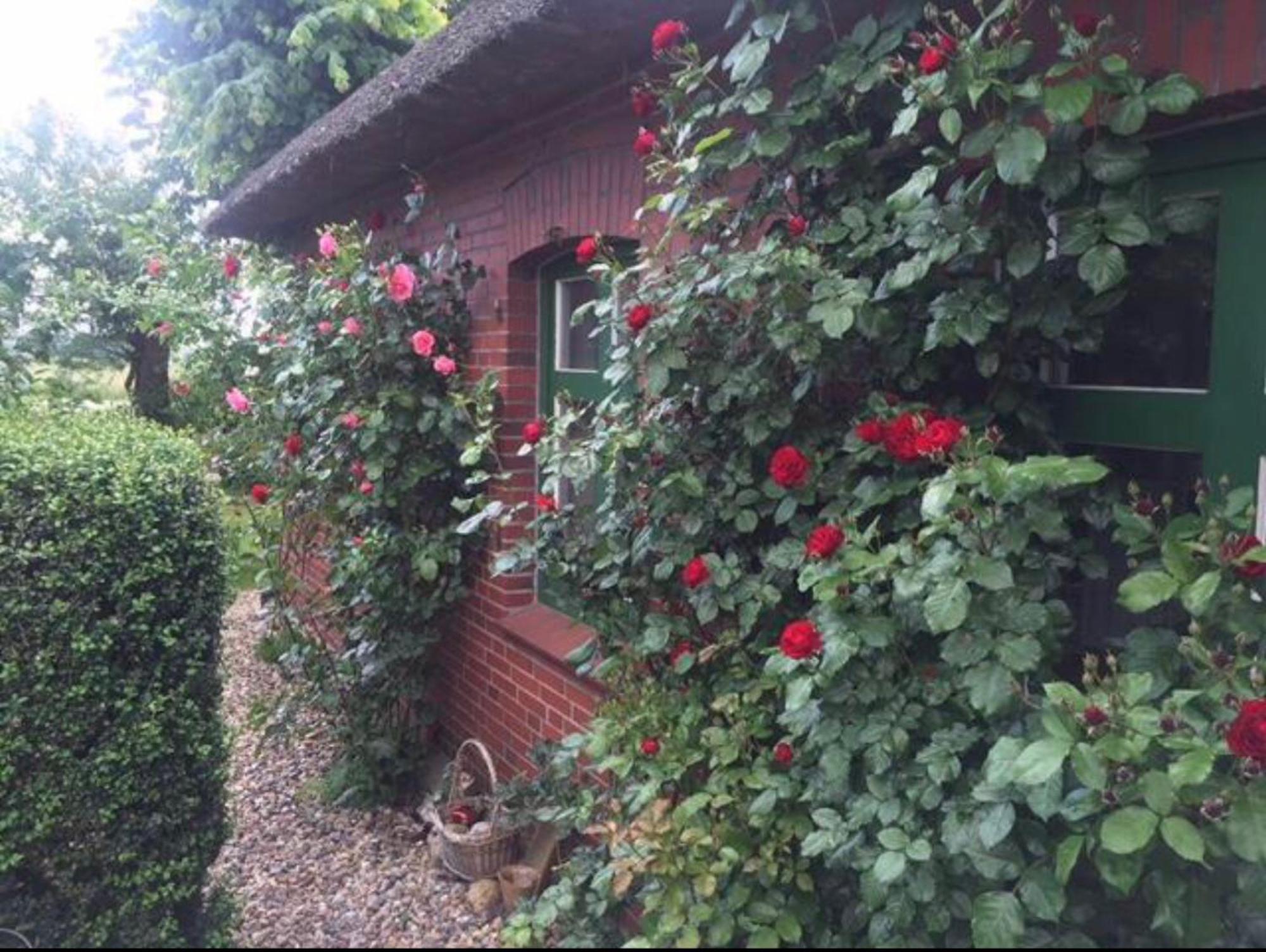 Homestay Kleine Einliegerwohnung Oder Im Reetdachhaus *